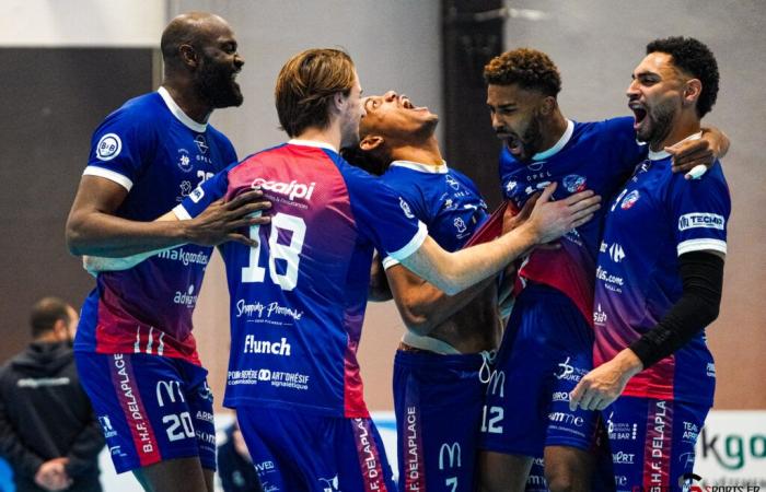 VOLLEYBALL (Coupe de France) – Ali Nouaour: „Wir hatten das richtige Spiel“