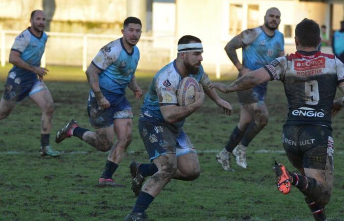 Super XIII: Die Bären schlagen die Grizzlies