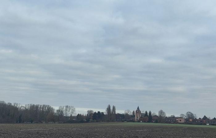 Wetterbericht. Wie ist das Wetter an diesem Montag, den 16. Dezember in Hauts-de-France?