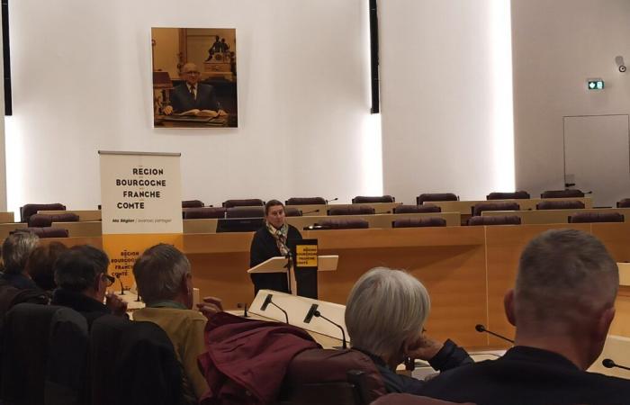 Besançon. Die in Besançon geborene Nathalie Démoulin erhält den Marcel-Aymé-Preis 2024 – Doubs: alle lokalen Nachrichten