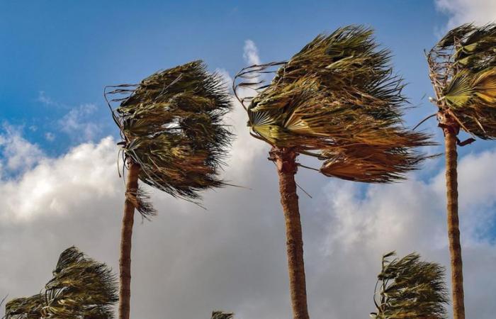 Sturm Dorothea erzwingt die Absage des Unterrichts auf El Hierro, Teneriffa, La Gomera und Gebieten von La Palma