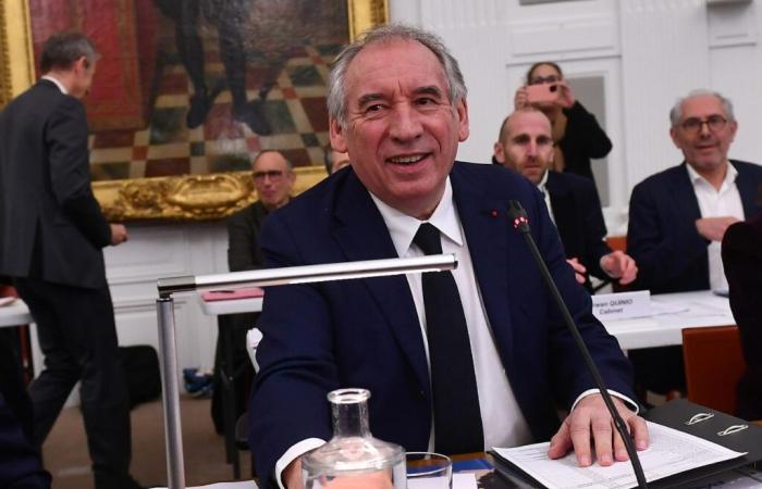 Zwischen der Krise in Mayotte und Pau berät sich Bayrou und hofft, „diese Woche“ eine Regierung bilden zu können.