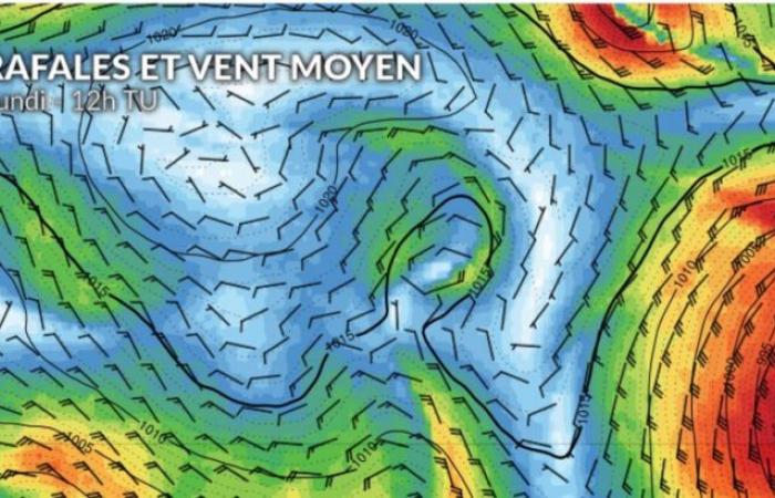 Wetter Vendée Globe: An der Spitze des Rennens tobt der Kampf zwischen Charlie Dalin und Yoann Richomme