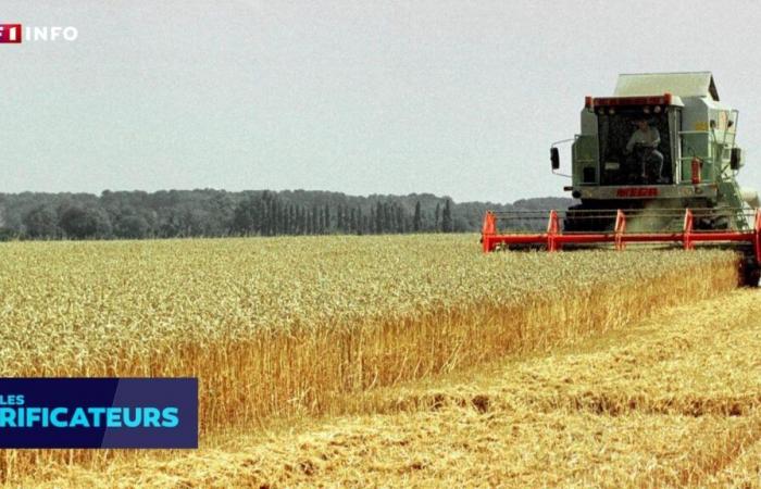 CHECK – Ist Frankreich in 20 Jahren beim Export landwirtschaftlicher Produkte vom zweiten auf den sechsten Platz der Welt vorgerückt?