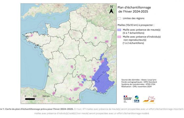 Wolfspopulation in Frankreich: die offizielle Pressemitteilung und unsere Analyse