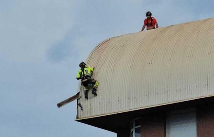 VORÜBERGEHENDE VORFÄLLE TENERIFFA | Die Feuerwehrleute von Teneriffa erhalten mehr als 450 Anrufe und greifen aufgrund der Windeinwirkung bei 84 Vorfällen ein