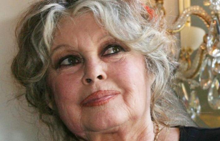 Brigitte Bardot ist wütend wegen eines Problems in ihrer Nachbarschaft