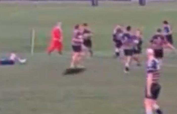 VIDEO. Urkomische Bilder eines Hirsches, der auf dem Spielfeld erscheint und mitten im Spiel einen Rugbyspieler angreift