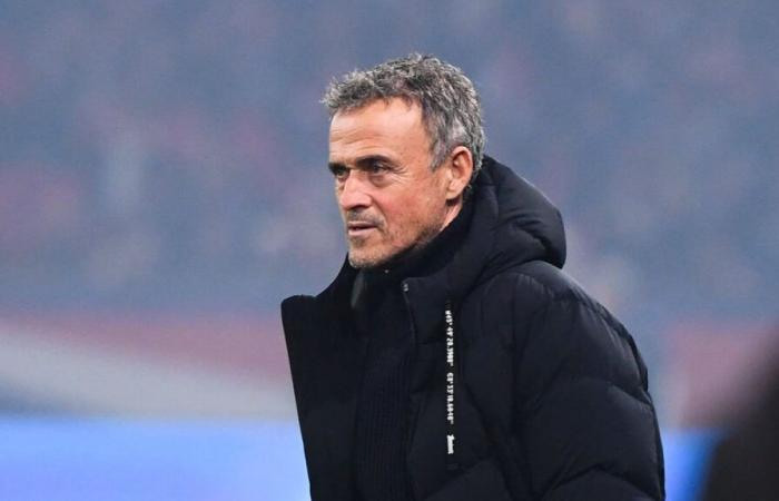 Mercato: PSG findet einen neuen Stürmer, Luis Enrique sagt nein!