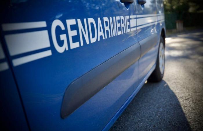 Mutmaßlicher Drogendealer nach Verfolgungsjagd durch Weinberge in La Londe festgenommen