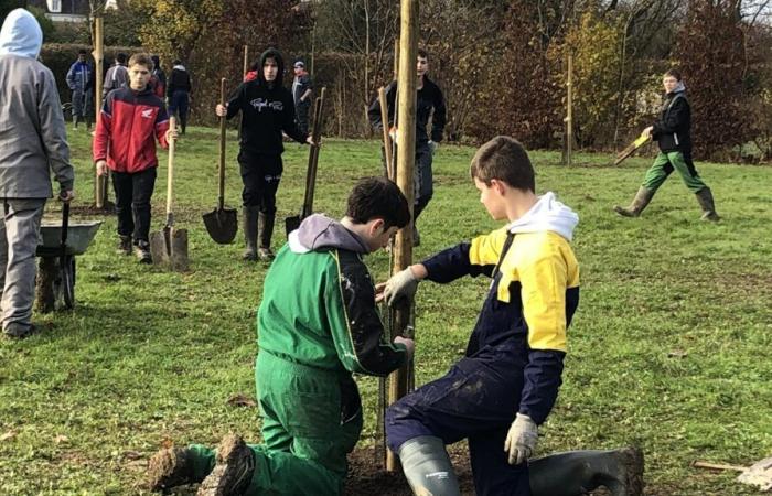 Das Obstgartenprojekt nimmt für 2025 Wurzeln