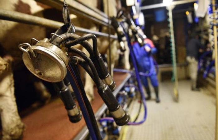 Preisuntergrenzen könnten die Vergütung der Landwirte verbessern