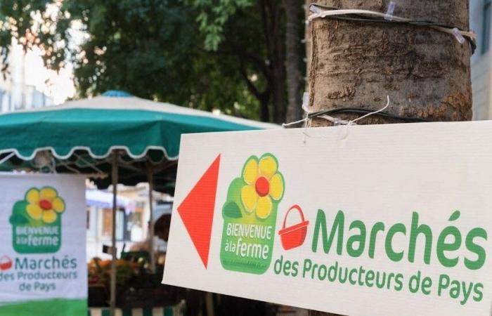 Dordogne. Weihnachtsmarkt in der Landwirtschaftskammer