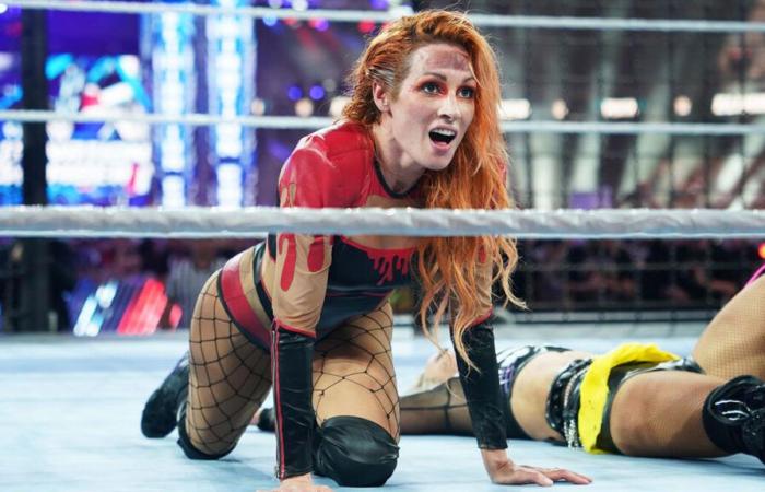 Becky Lynch enthüllt ihr Projekt während ihrer Abwesenheit bei WWE