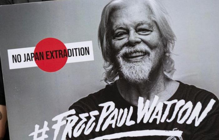 Paul Watson wird nicht von Dänemark ausgeliefert, der Gründer von Sea Shepherd steht kurz vor seiner Freilassung