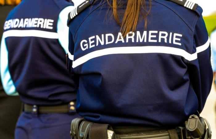 Ein Mann wurde bewusstlos auf einem abgelegenen Weg gefunden und von zwei Gendarmen in der Vendée gerettet