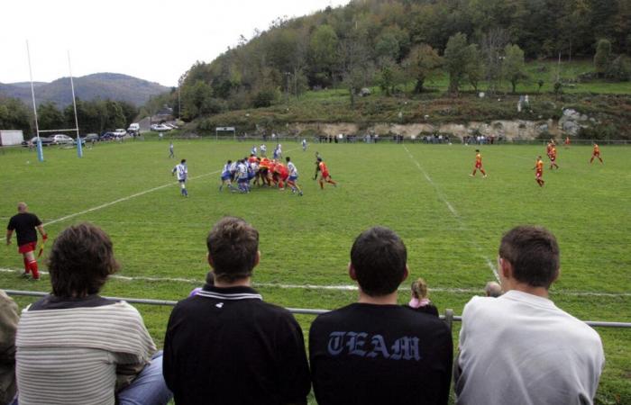 VIDEO. Während eines Amateur-Rugbyspiels wurde ein Spieler auf lustige Weise von … einem Reh getroffen!