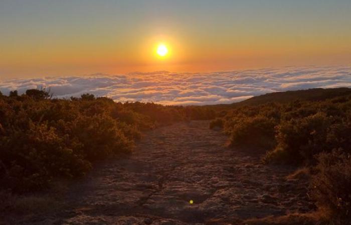 Wetter auf Réunion: Ein sehr schöner Tag erwartet uns, die Sonne scheint schon bei Tagesanbruch großzügig!