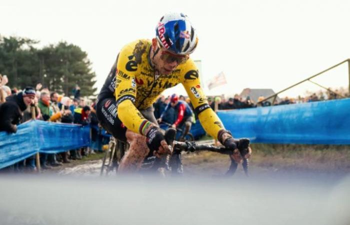 Radfahren. Cyclocross – Jan Boven: „Van Aert wird sicherlich gewinnen wollen, aber…“