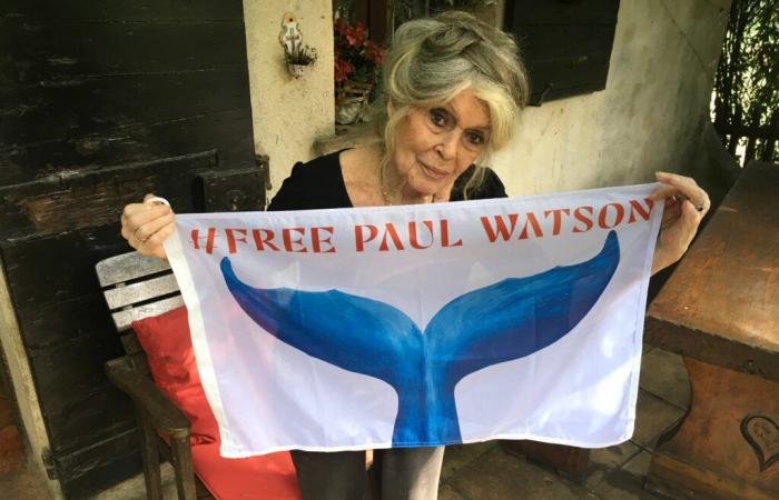 „Es ist das Wunder von Weihnachten!“: Brigitte Bardot reagiert auf die Freilassung von Paul Watson