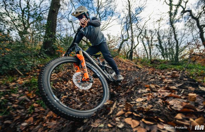 Schwalbe Albert Radial: anderer Ansatz, schlüssiges Ergebnis! ⋆ Vojo