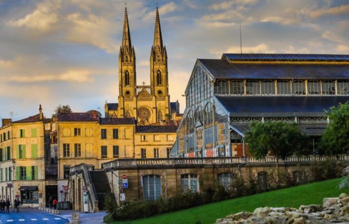 Ein Friedenstruppe aus Niort wurde nach Gewalt zum „Bekennen schuldig“ verurteilt und legt Berufung ein