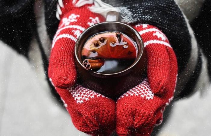 Entdecken Sie die kostenlose Eisbahn im 7. Arrondissement von Paris