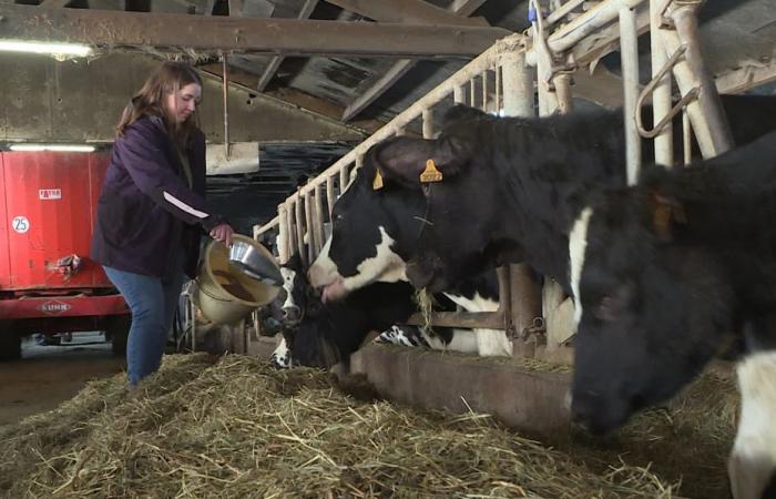 die schwierige Frage der Übernahme landwirtschaftlicher Betriebe