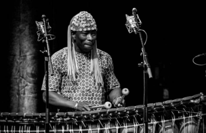 Essaouira: Das Jazz sous l’Arganier Festival begrüßt den malischen Cheikh Tidiane Seck