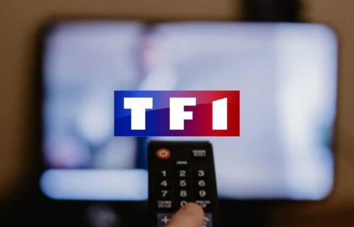 TF1 verhindert, dass Sie unabhängig von Ihrem Betreiber Werbung mit Live-Kontrolle ausspielen können