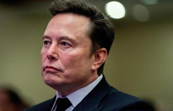 Berichten zufolge ist Elon Musk bereit, die „größte Spende in der politischen Geschichte Großbritanniens“ an die Anti-Einwanderungspartei zu finanzieren