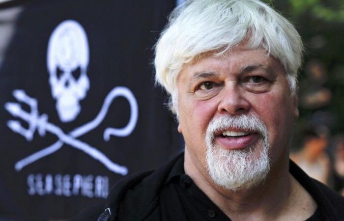 Ist Paul Watson nach seiner Entlassung aus seinem dänischen Gefängnis über den Berg?