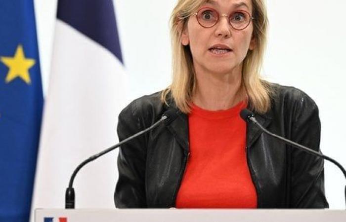 Frankreich lehnt ein neues Ziel für erneuerbare Energien ab