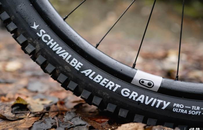 Schwalbe Albert Radial: anderer Ansatz, schlüssiges Ergebnis! ⋆ Vojo