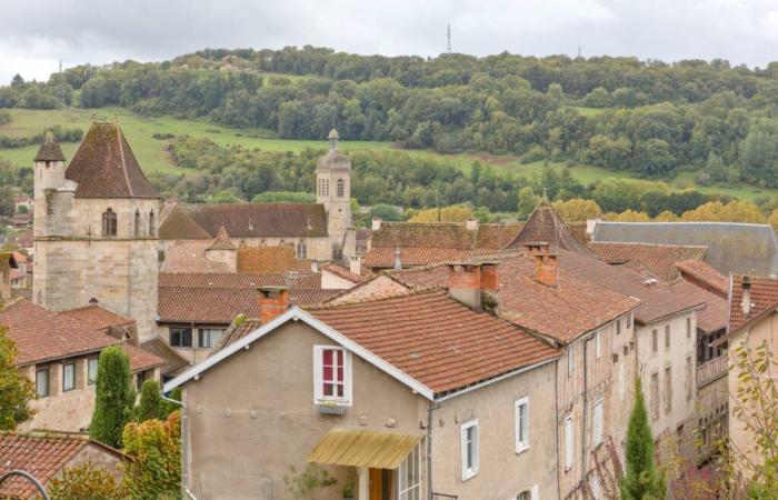 40 Tage Zeit, um Ihre Meinung zur Entwicklung von Grand Figeac abzugeben