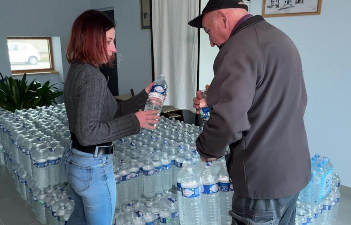 „Nehmen Sie zum Zähneputzen Wasser in Flaschen mit“