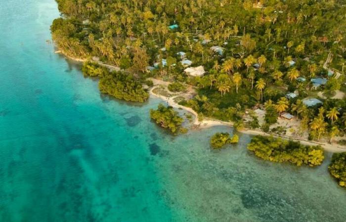 Starkes Erdbeben vor der Küste von Vanuatu: Ein Zeuge meldet Opfer