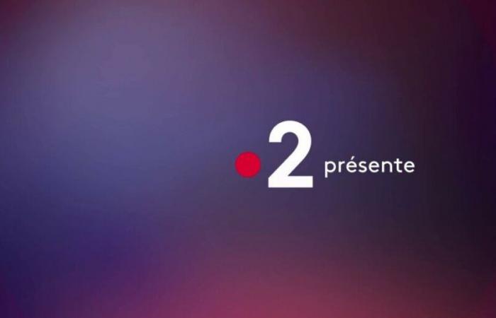 France 2 stellt an diesem Dienstag, dem 17. Dezember, sein Programm um und sendet eine Sendung mit vielen Künstlern