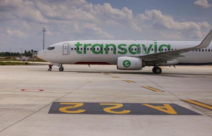 Transavia eröffnet zwei neue Linien nach Albanien und Belgien