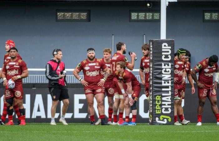 Rugby – Challenge Cup: Nachdem die USAP wusste, wie man in Europa existiert, wechselte sie schnell zu den Top 14 und ihrer Reise ins Stade Français