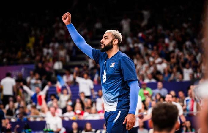 Poitevin-Volleyballspieler Earvin Ngapeth in Gold für die Ewigkeit