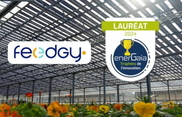 Feedgy wird für seine Innovationen belohnt: Gewinner des Deployability-Preises bei den EnerGaïa Forum Innovation Trophies