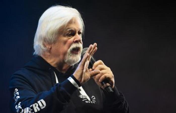 Der in Dänemark inhaftierte Walschützer Paul Watson ist freigelassen worden, teilt sein Verein Sea Shepherd mit