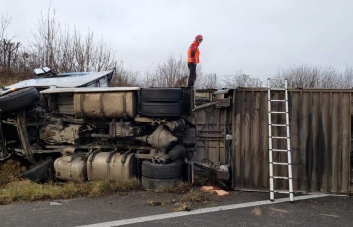 Mosel. Auf der N431 zwischen Fey und Marly liegt ein Viehtransporter