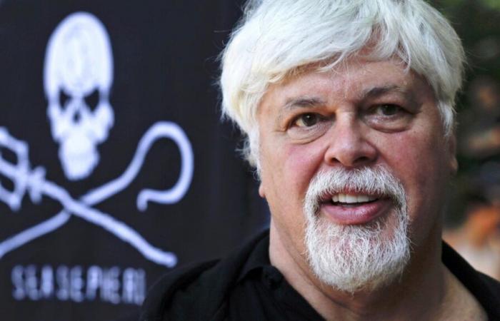 Dänemark hat den Anti-Walfang-Aktivisten Paul Watson freigelassen und wird ihn nicht an Japan ausliefern