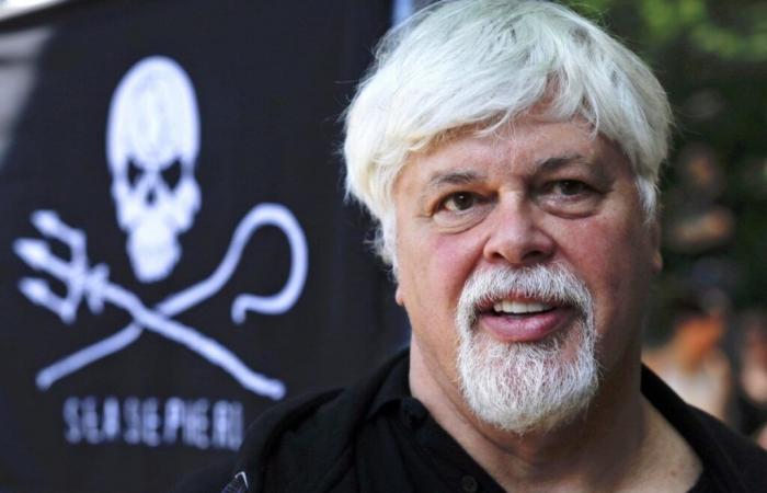 Der freigelassene Anti-Walfang-Aktivist Paul Watson wird nicht von Dänemark an Japan ausgeliefert – Anwalt