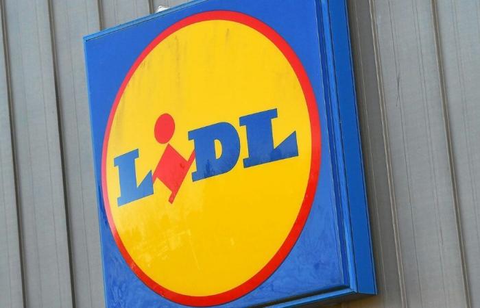 Knapp 2.000 m² Verkaufsfläche: Der größte Lidl der Bretagne öffnet bald seine Pforten in Rennes