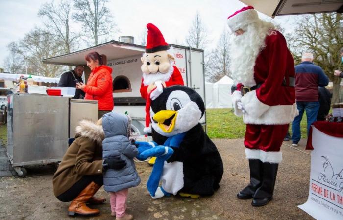 Tourinfo | Weihnachtsferien: unsere Ideen für Familienausflüge in der Touraine