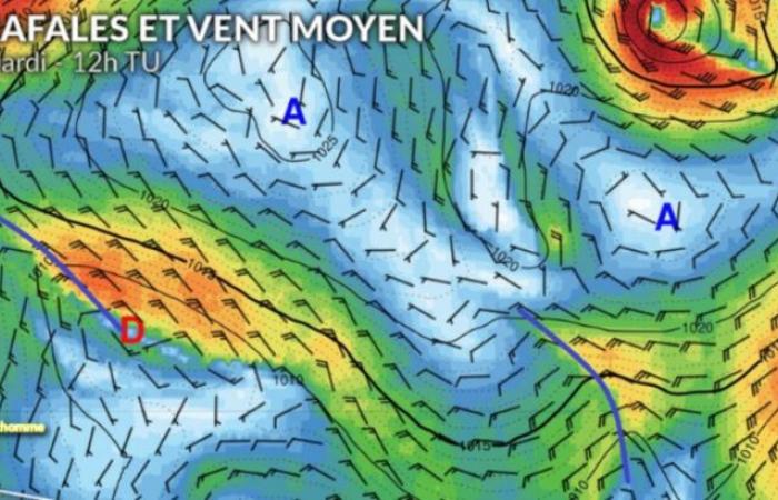 Wetter Vendée Globe: Ob im Pazifik oder im Indischen Ozean, jeder ist in seiner eigenen Welt.