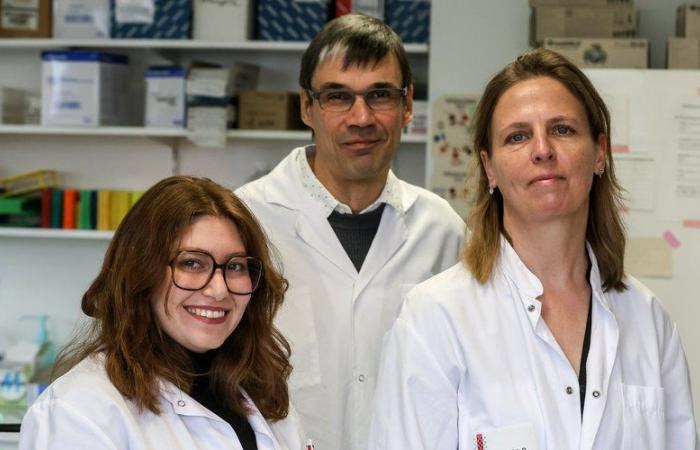 Forscher aus Toulouse haben ein neues Ziel zur Behandlung von Asthma identifiziert